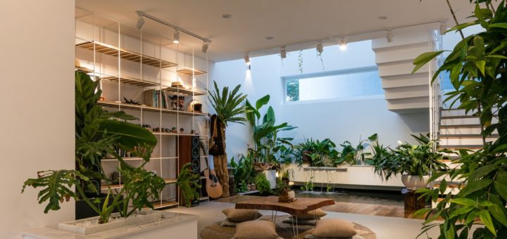 Дом во Вьетнаме с расслабляющими природными пространствами и крытым прудом